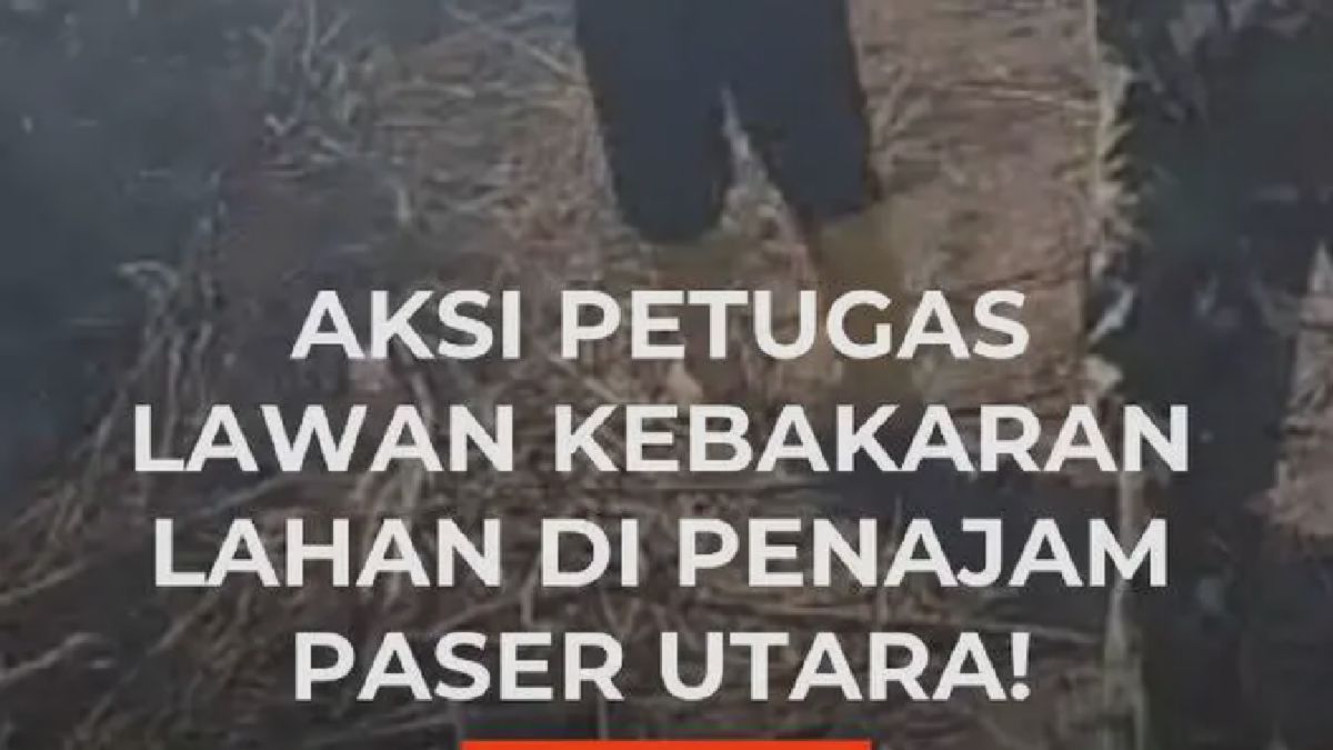 Petugas Gabungan Padamkan Kebakaran Lahan di Penajam Paser Utara