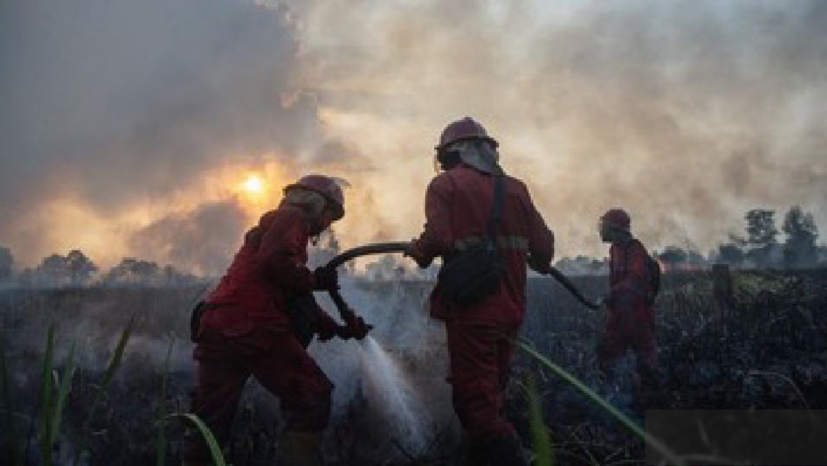 Menteri Kehutanan Peringatkan Karhutla Akibat El Nino Godzilla