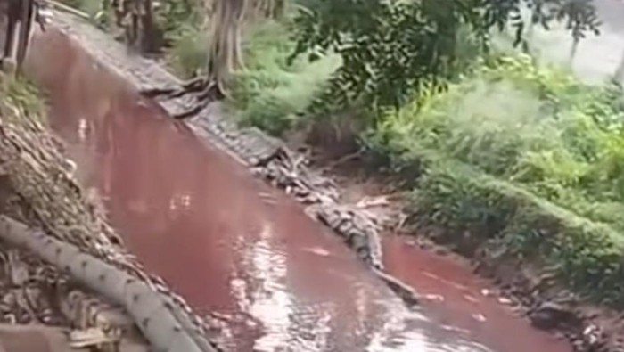 Geger, Air Kali Sadang Bekasi Berubah Warna Jadi Merah Bak Darah