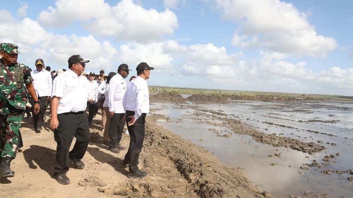 Kementan Gelontorkan Dana Rp 1,33 Triliun untuk Sulap Papua Selatan Jadi Lumbung Pangan Nasional