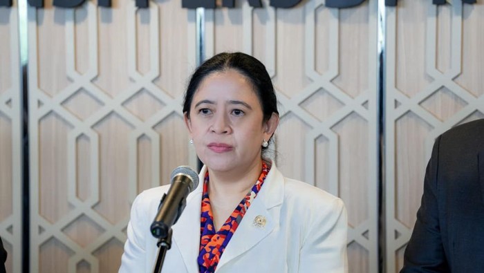 Puan Dorong PLN Mitigasi Dampak Pemadaman Listrik Bergilir