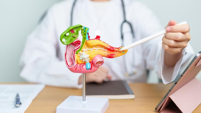 Dokter Harvard Ungkap Gejala Tersembunyi Kanker Pankreas yang Perlu Diwaspadai