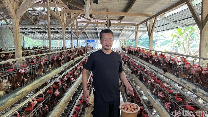 Berawal dari Pengangkut Pakan, Nirin Kini Jadi Motor Penggerak Usaha Ayam Petelur Warga Setu