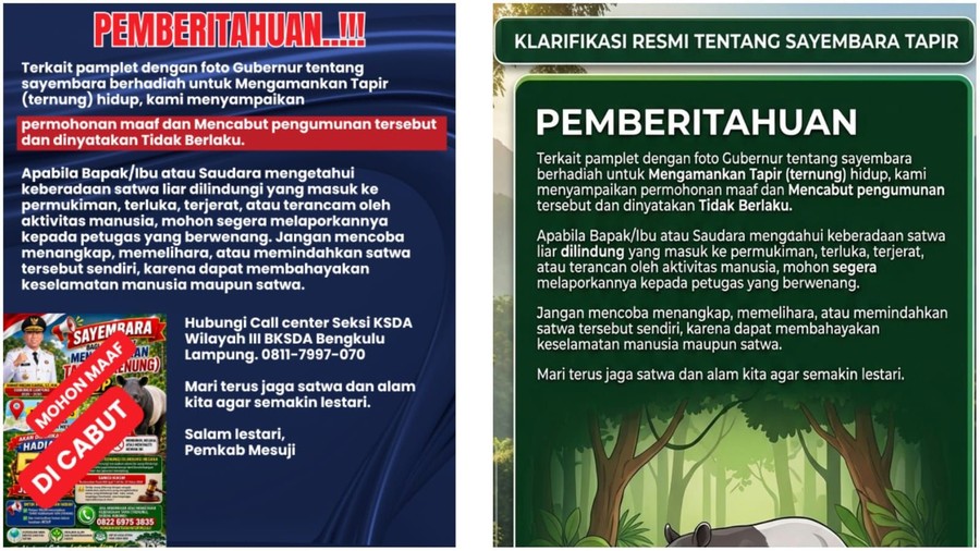 Sayembara Tangkap Tapir Hidup-hidup di Mesuji Berhadiah Rp 50 Juta Dibatalkan