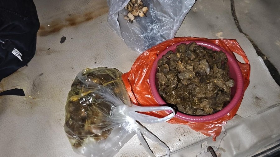 Daging Tapir yang Viral di Lampung Dimasak Para Tersangka Jadi Rica-rica