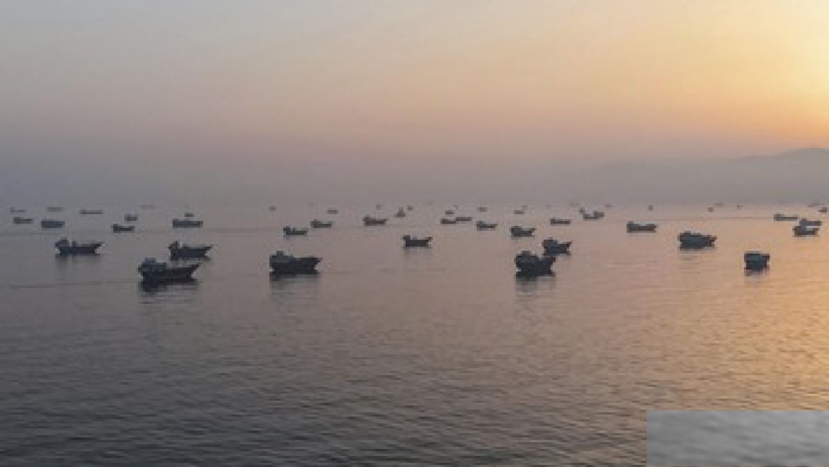 UEA Tuding Iran Serang Tanker Minyak di Selat Hormuz