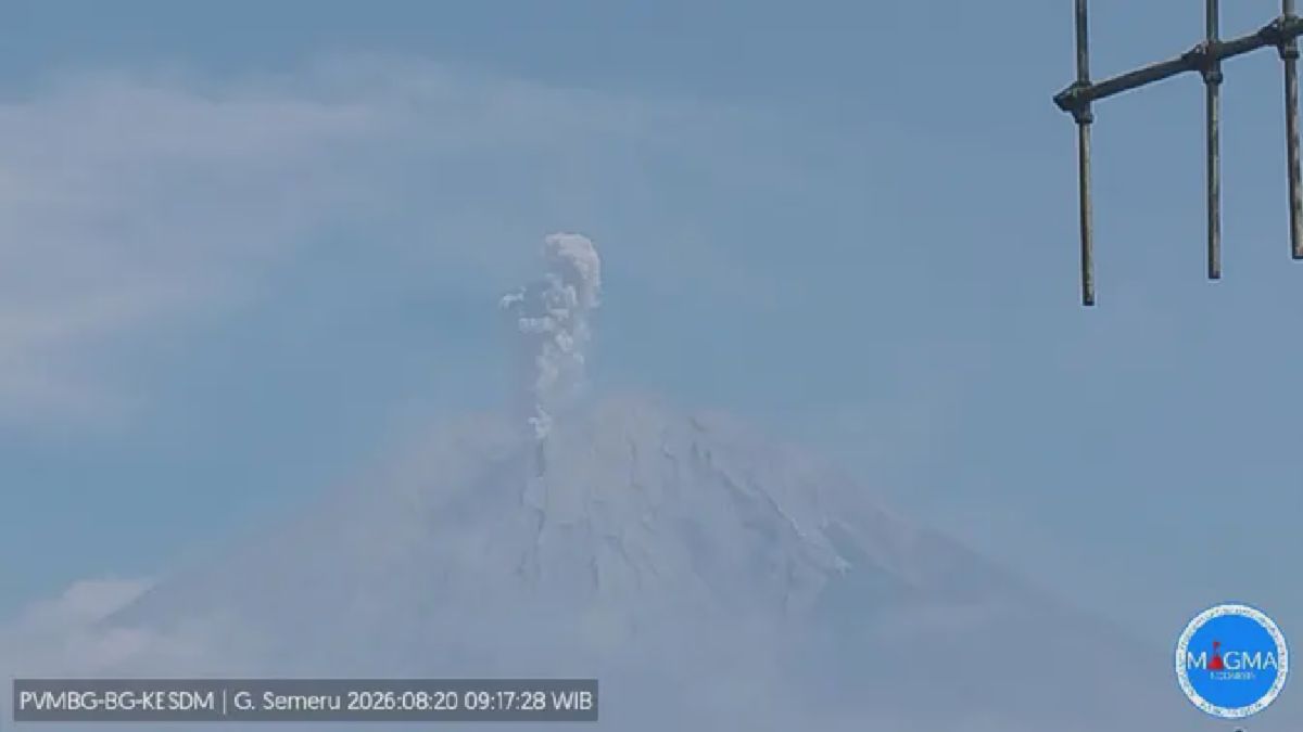 Semeru Erupsi Setinggi 1.100 Meter, Gunung Raung Keluarkan Kepulan Asap