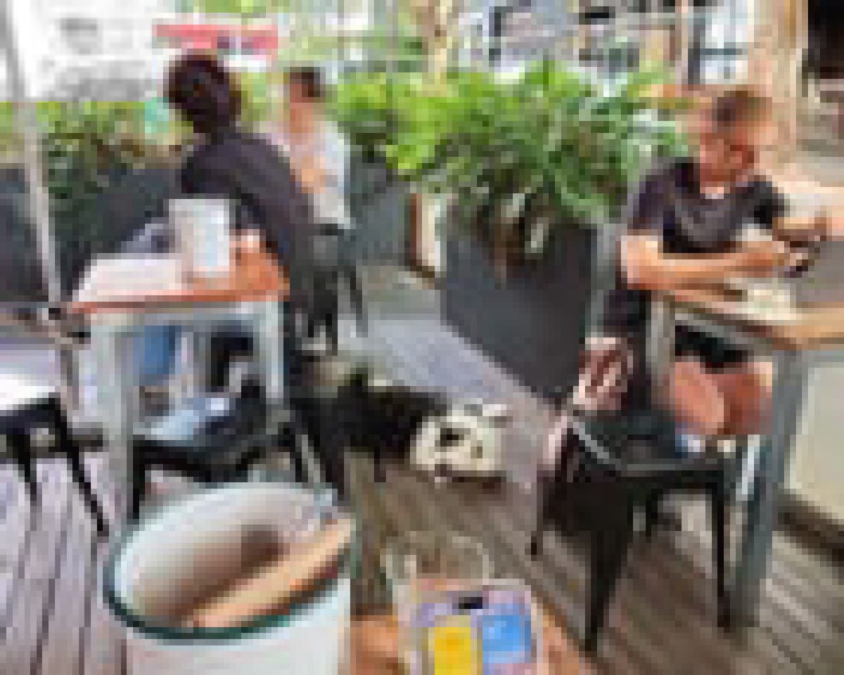 Pria Melbourne Difoto Diam-diam Lewat Kacamata Pintar
