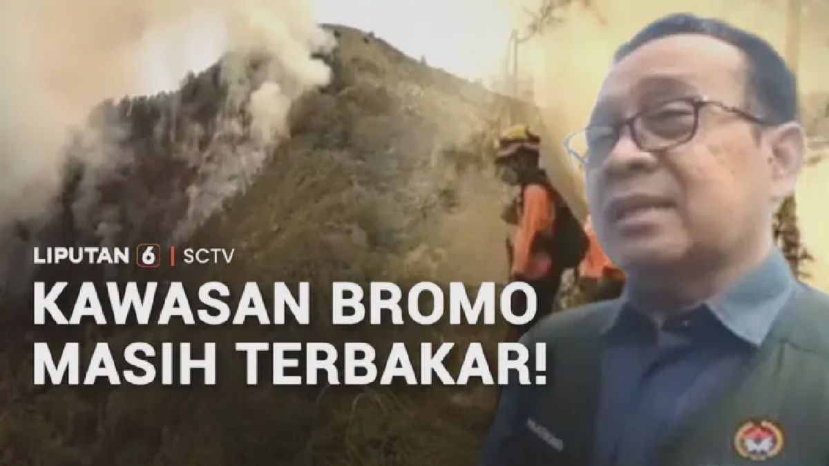 [BROMO] — Ratusan Personel Berpacu dengan Waktu Padamkan Karhutla