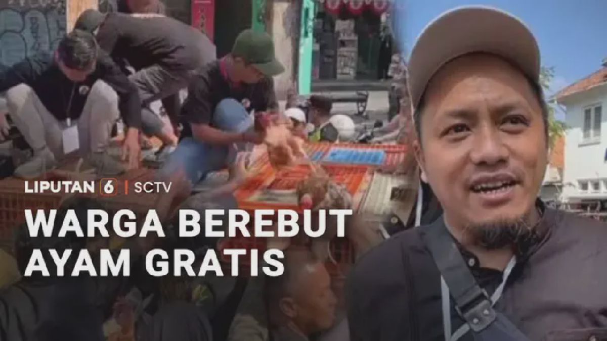 Warga Berebut Ayam Gratis, Peternak Keluhkan Harga Pakan dan Telur Anjlok