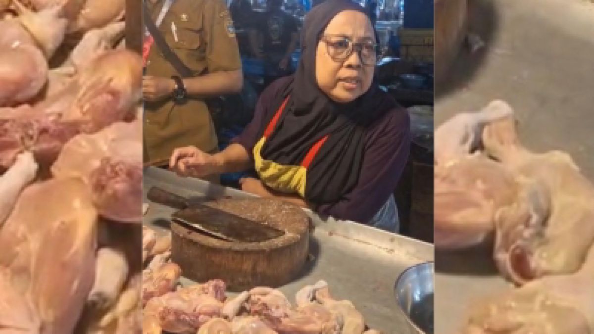 Harga Ayam Tembus Rp47.800, TPID Sumut Siapkan Langkah Antisipasi