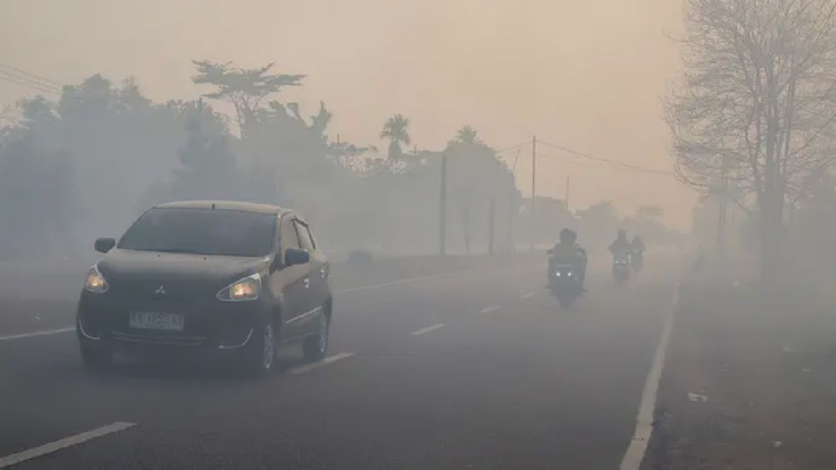 Kabut Asap Karhutla Selimuti Palangka Raya, Pengendara Nyalakan Lampu