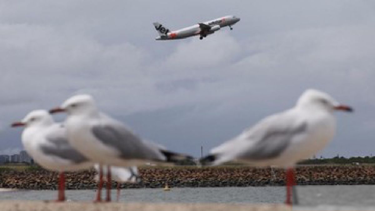 Pesawat Jetstar Hampir Tabrakan dengan Qatar Airways di Sydney