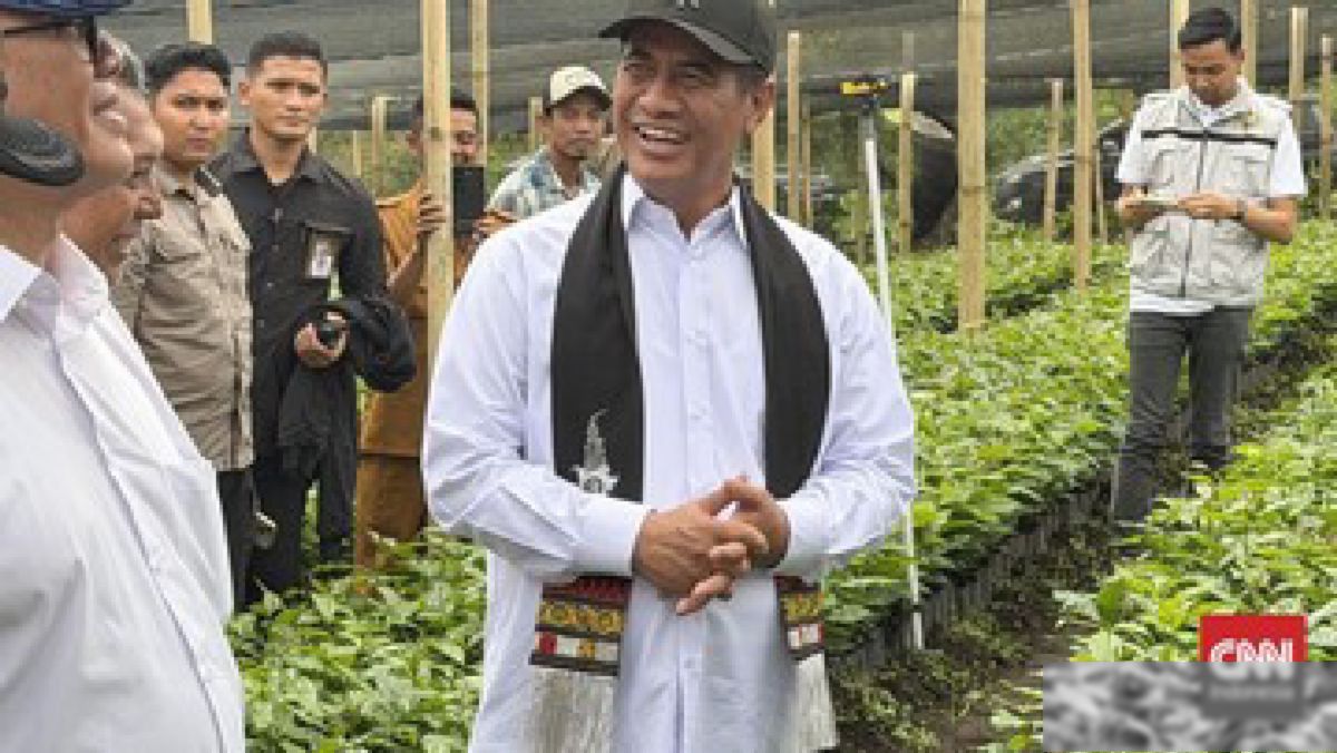 Stabilitas Harga Beras Terjaga, MinyaKita Justru Melonjak di Atas HET