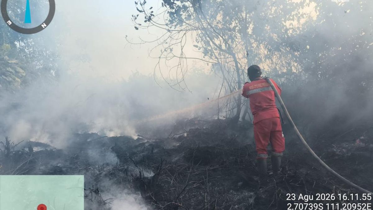 Pemerintah Selidiki Korporasi di Kalbar Diduga Penyebab Karhutla